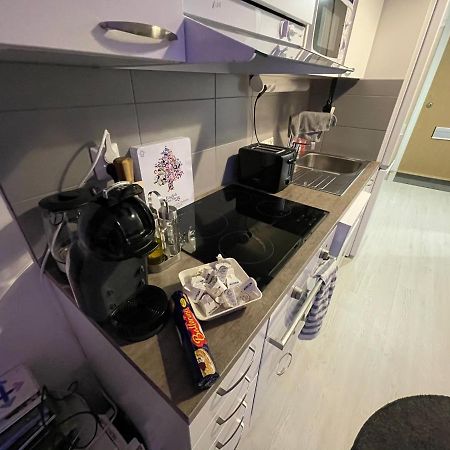 Arctic Penthouse Studio With Free Parking And High-Speed Wi-Fi Rovaniemi Luaran gambar