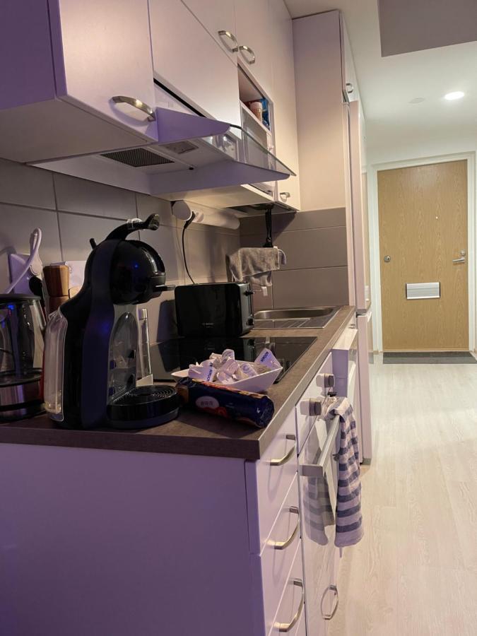 Arctic Penthouse Studio With Free Parking And High-Speed Wi-Fi Rovaniemi Luaran gambar